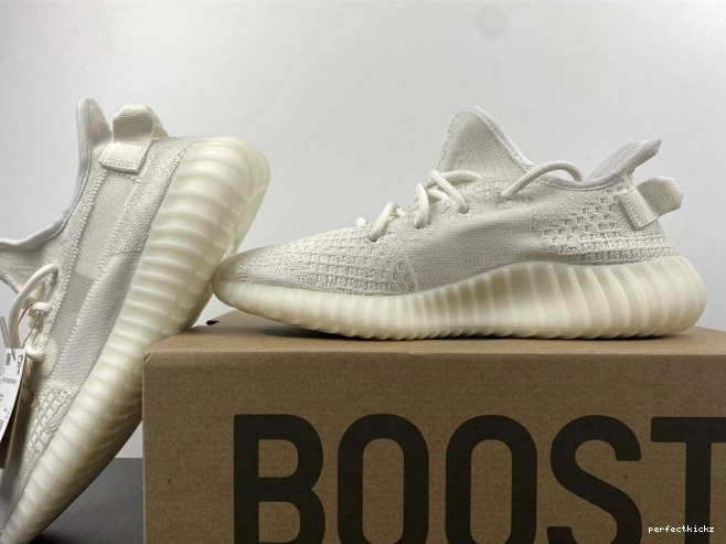 HQ6316 Boost Yeezy Adidas 350 V2 CabBage 0810